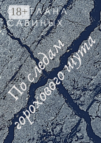 Обложка книги «По следам горохового шута»