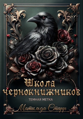 Обложка книги «Школа чернокнижников. Тёмная метка»