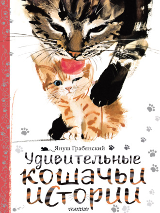 Обложка книги «Удивительные кошачьи истории»