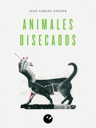 Juan Carlos Gozzer. Animales disecados