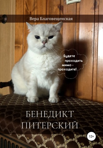 Обложка книги «Бенедикт Питерский»