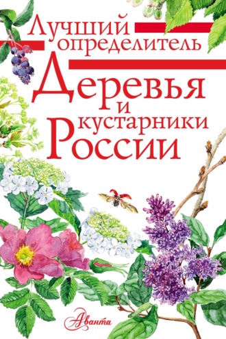 Обложка книги «Деревья и кустарники России. Определитель»