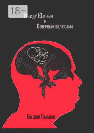 Обложка книги «Между Южным и Северным полюсами»