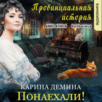Обложка книги «Провинциальная история (книга 2 часть 2)»