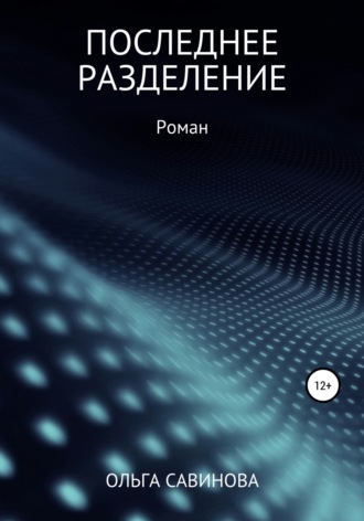 Обложка книги «Последнее разделение»
