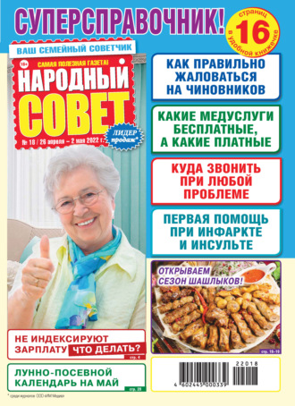 Обложка книги «Народный совет №18/2022»