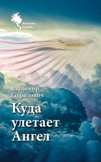 Обложка книги «Куда улетает Ангел»