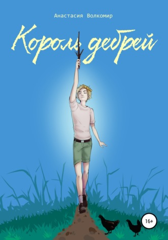 Обложка книги «Король Дебрей»