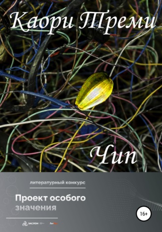 Обложка книги «Чип»
