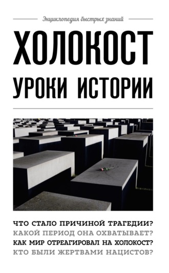 Обложка книги «Холокост. Уроки истории»