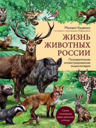 Обложка книги «Жизнь животных России. Познавательная иллюстрированная энциклопедия»