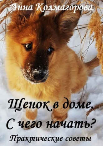 Обложка книги «Щенок в доме. С чего начать? Практические советы»