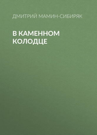 Обложка книги «В каменном колодце»