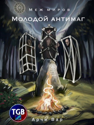 Обложка книги «Меж миров. Молодой антимаг»