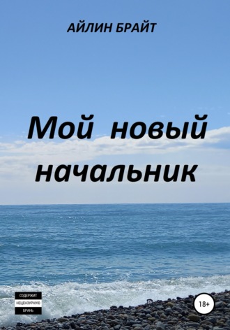 Обложка книги «Мой новый начальник»