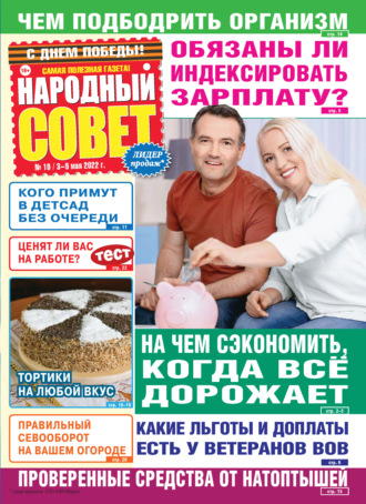 Обложка книги «Народный совет №19/2022»