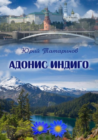 Обложка книги «Адонис Индиго»