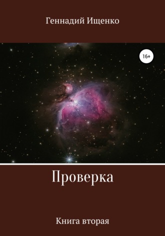 Геннадий Владимирович Ищенко. Проверка. Книга вторая