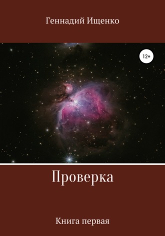 Геннадий Владимирович Ищенко. Проверка. Книга первая