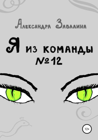 Обложка книги «Я из команды №12»