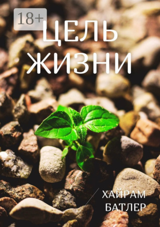 Обложка книги «Цель жизни»