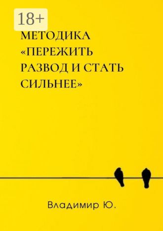 Обложка книги «Методика «Пережить развод и стать сильнее»»