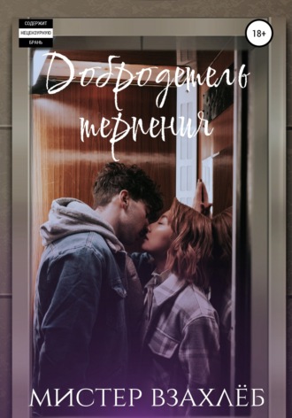 Обложка книги «Добродетель терпения»