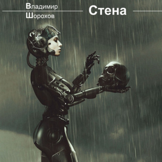 Обложка книги «Стена»