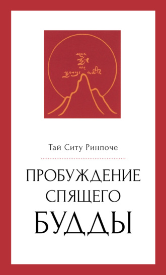 Обложка книги «Пробуждение спящего будды»