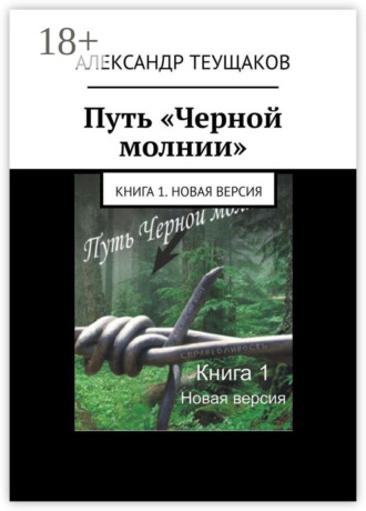 Обложка книги «Путь «Черной молнии». Книга 1. Новая версия»