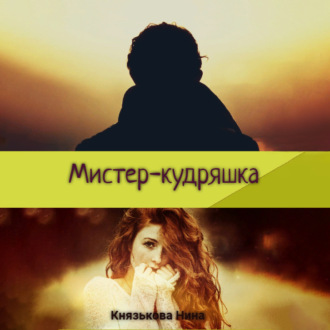 Обложка книги «Мистер-кудряшка»