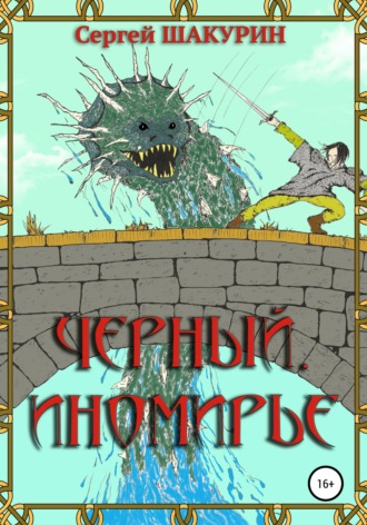 Обложка книги «Черный. Иномирье»