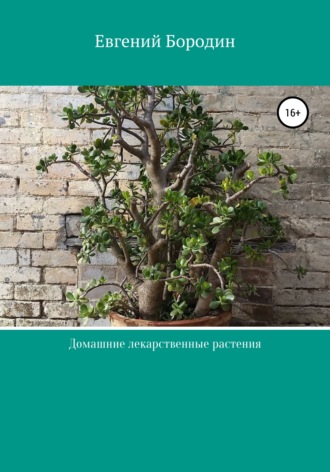 Обложка книги «Домашние лекарственные растения»