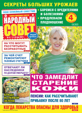 Обложка книги «Народный совет №21/2022»