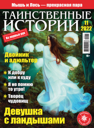 Обложка книги «Таинственные истории №11/2022»