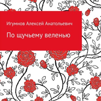 Обложка книги «По щучьему веленью»