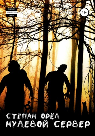 Степан Владимирович Орёл. Нулевой сервер