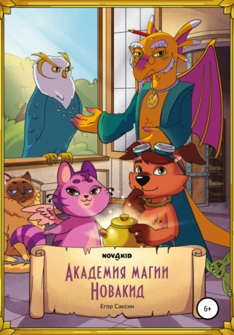 Обложка книги «Академия Магии Новакид»
