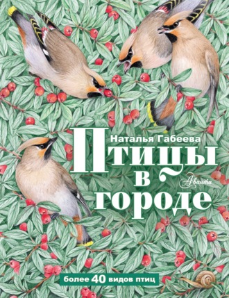 Обложка книги «Птицы в городе»
