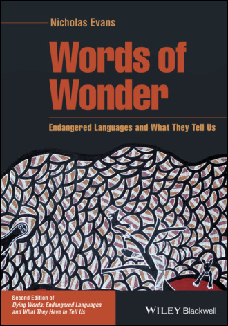 Nicholas  Evans. Words of Wonder