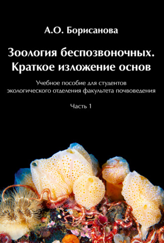 Обложка книги «Зоология беспозвоночных. Краткое изложение основ»