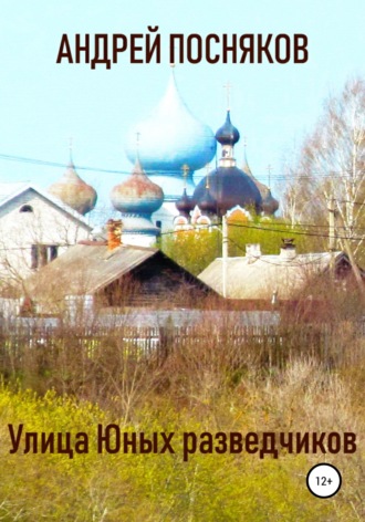 Обложка книги «Улица Юных разведчиков»
