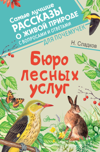 Обложка книги «Бюро лесных услуг»