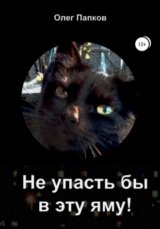 Обложка книги «Не упасть бы в эту яму!»