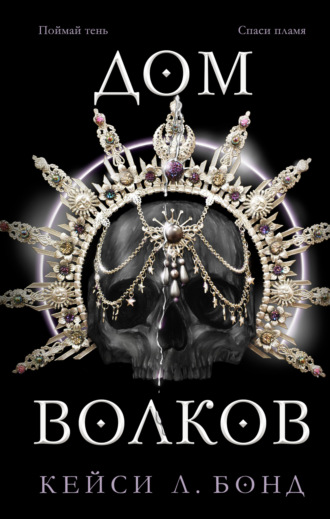 Обложка книги «Дом Волков»