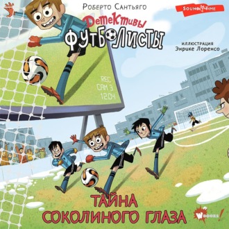 Обложка книги «Детективы-футболисты. Тайна Соколиного глаза»
