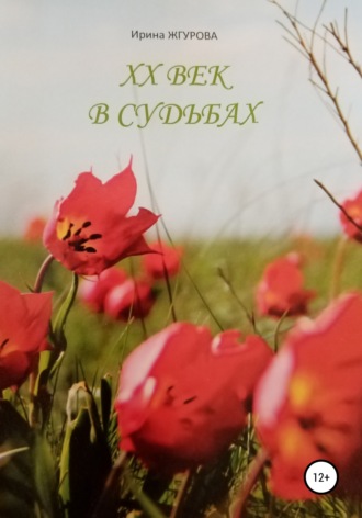 Обложка книги «ХХ век в судьбах»