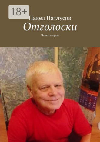 Обложка книги «Отголоски. Часть вторая»
