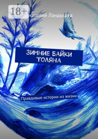 Обложка книги «Зимние байки Толяна. Правдивые истории из жизни»