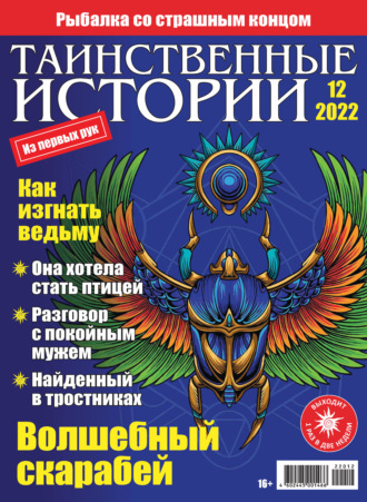 Обложка книги «Таинственные истории №12/2022»